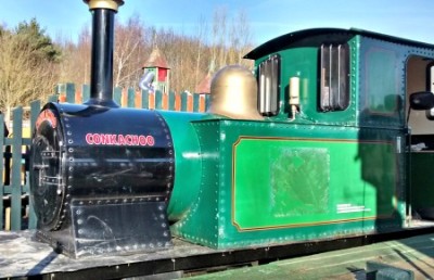 Conkerchoo Train at Conkers