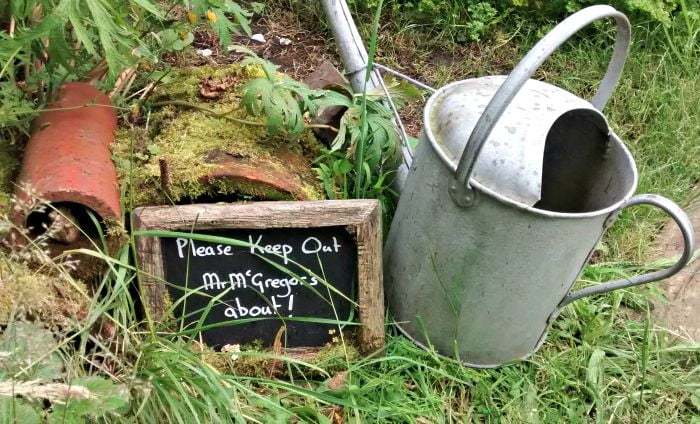 Mr McGregor's Garden!
