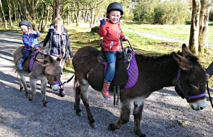 Donkey Rides at GreenWood Forest Park