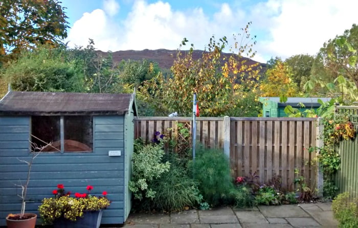 The garden at Oakwood Mews Cottage