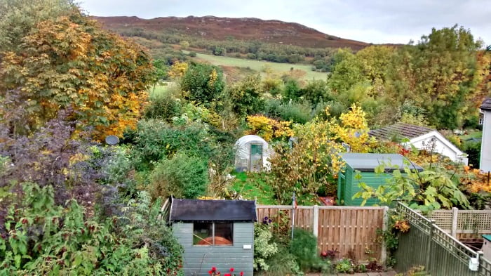 The view from Oakwood Mews cottage