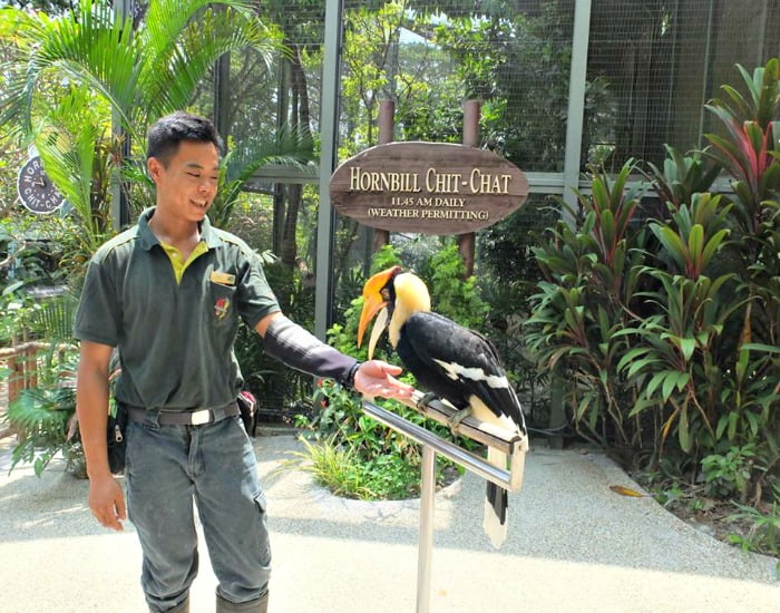 singapore zoological gardens