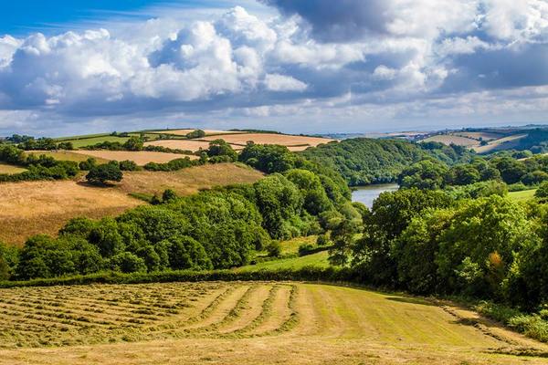 Looking down Jennetts Valley from Robin Hill Farm Cottages Bideford North Devon