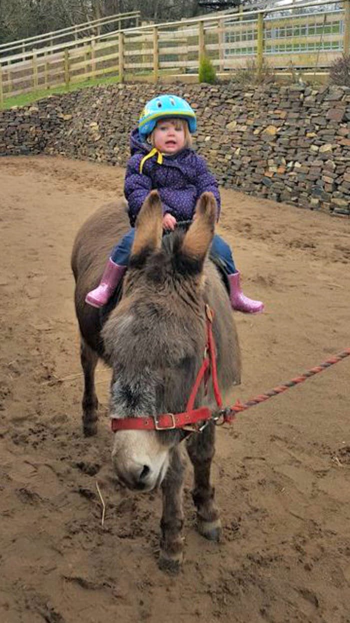 Horse riding at North Hayne Farm