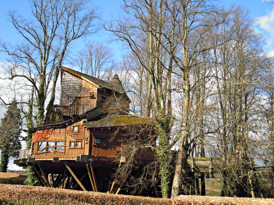 The Treehouse at Alnwick Castle and Garden