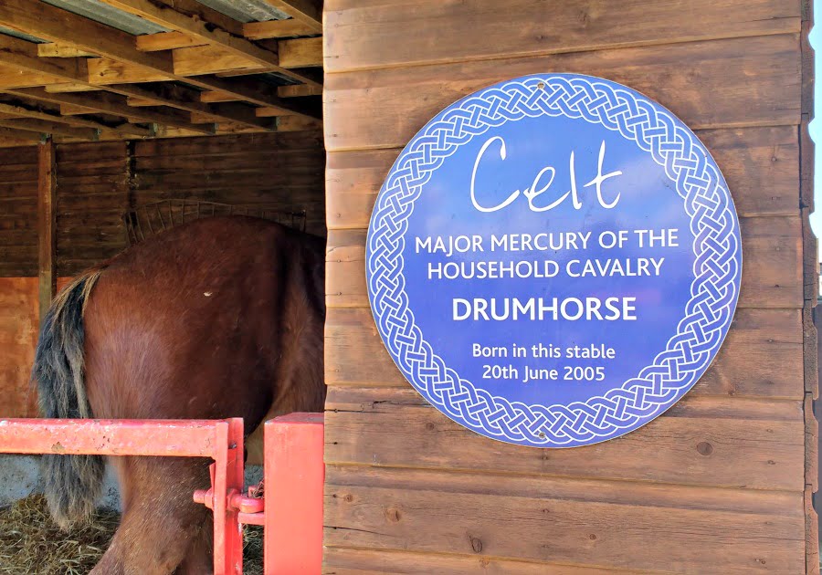 The place where Celt the Drumhorse was born at Dyfed Shire Horse Farm 
