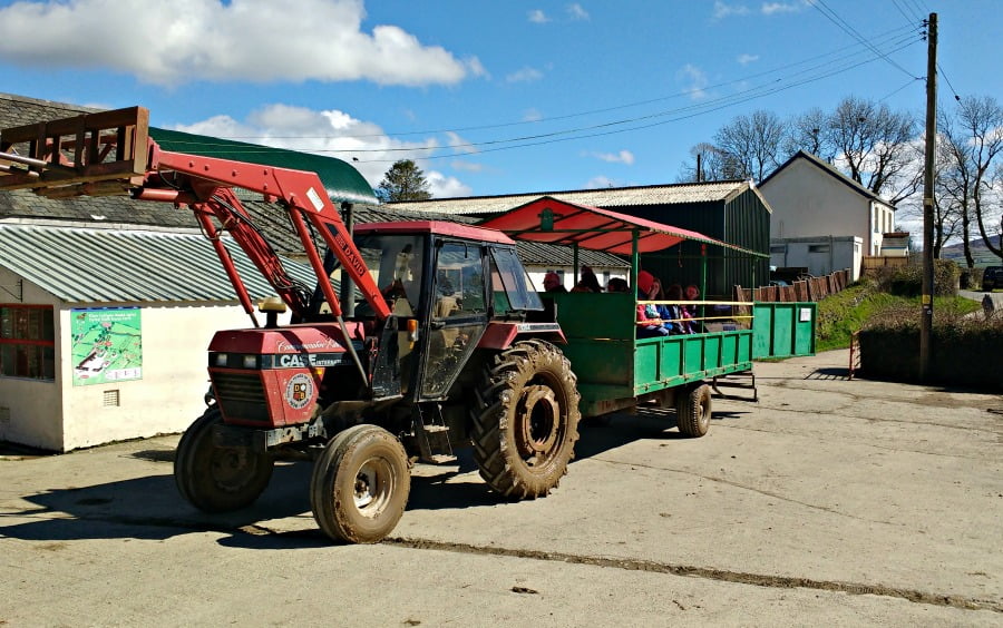 The tractor and trailer ride at Dyfed Shire Horse Farm