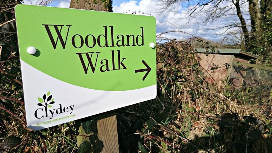 The Woodland Walk at Clydey Cottages in Pembrokeshire