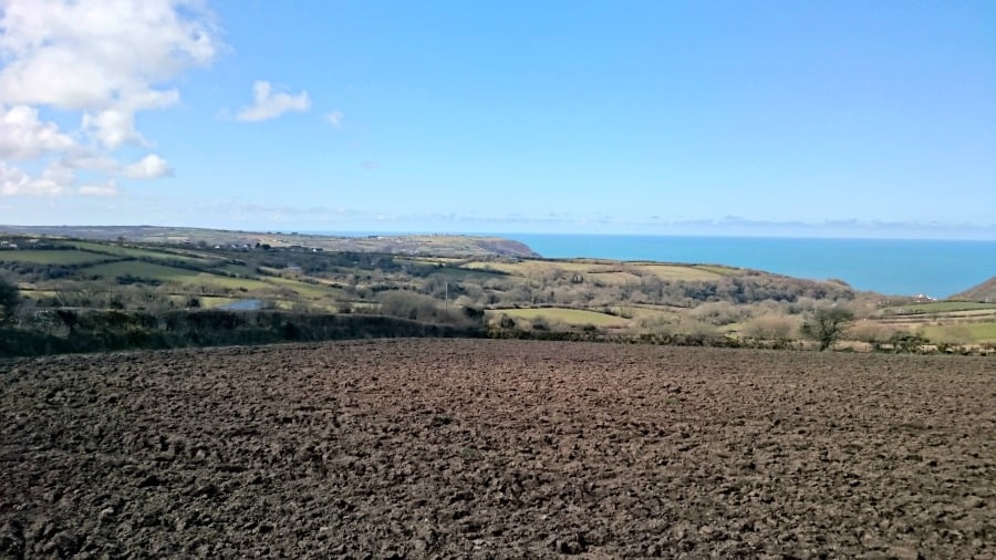 Pembrokeshire View