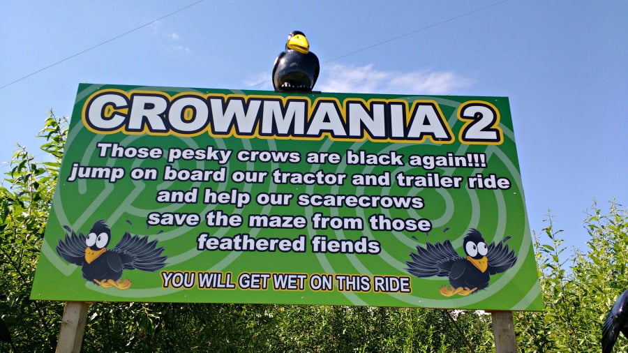 The Crowmania Ride at the York Maze