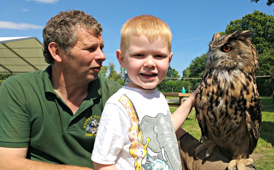 Meeting an eagle owl at the York Maze