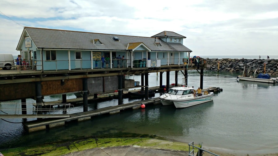 The Ventnor Haven Fishery