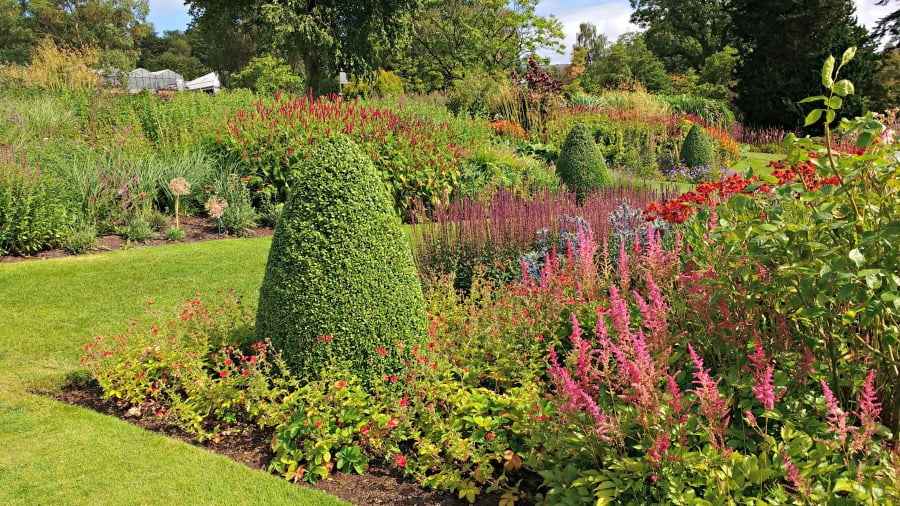 Harlow Carr