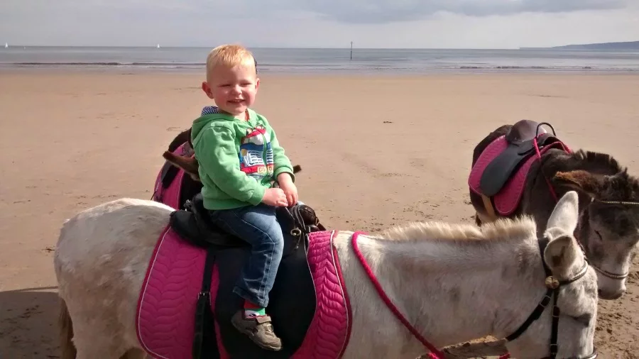Donkey Rides on Filey Beach