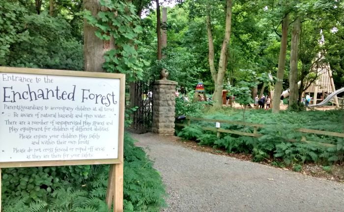 The Enchanted Forest at Stockeld Park