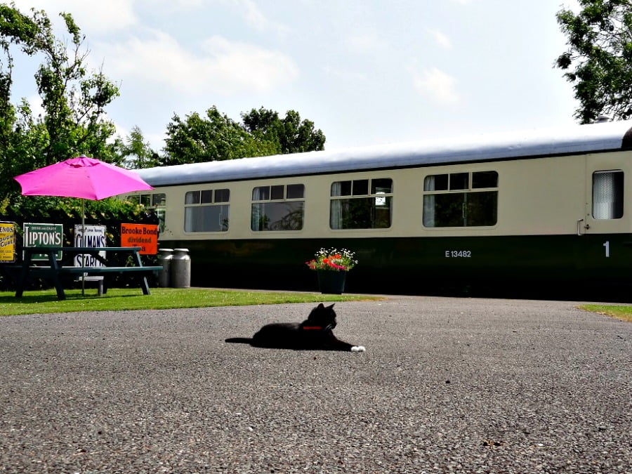 Train carriages to stay in with a toddler