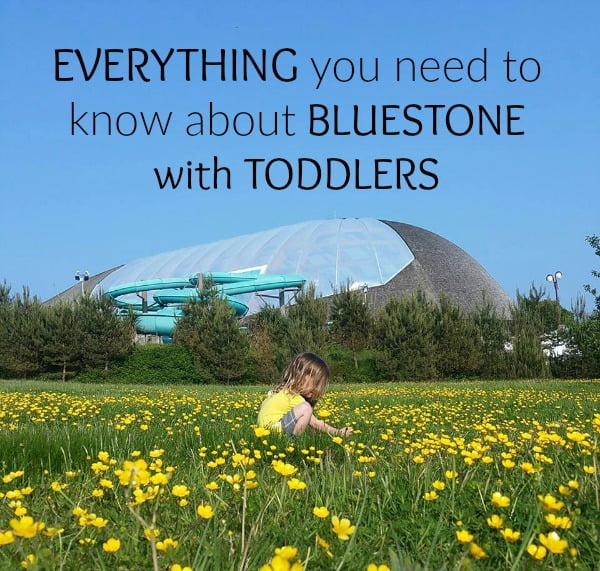 Bluestone with toddlers