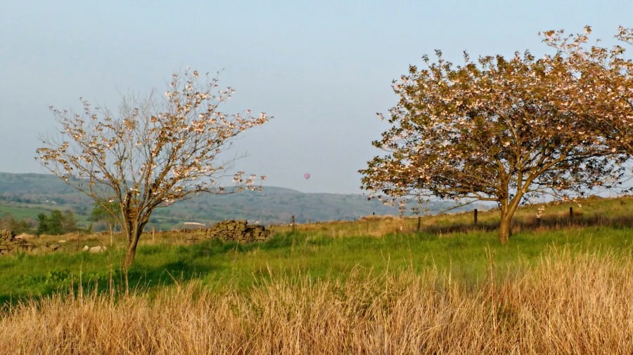 Hot Air Balloons in the Peak District