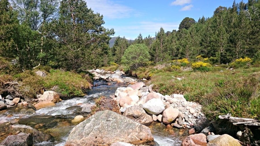 Cairngorm Mountains