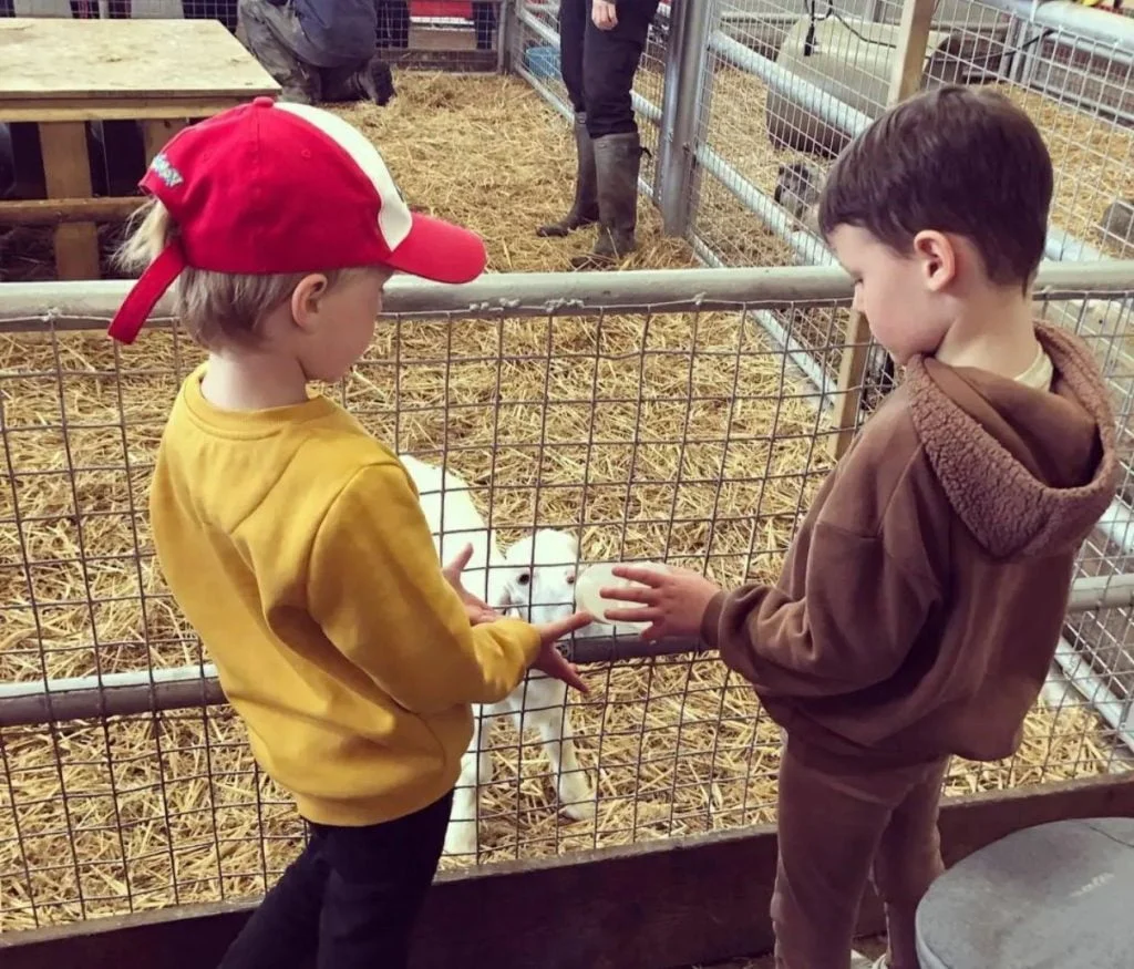 toddler friendly day out cornwall