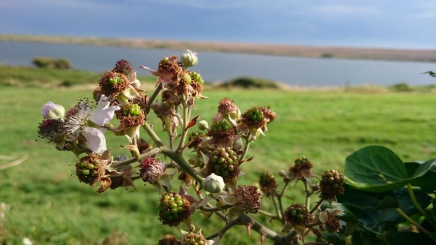 things to do with toddlers in dorset