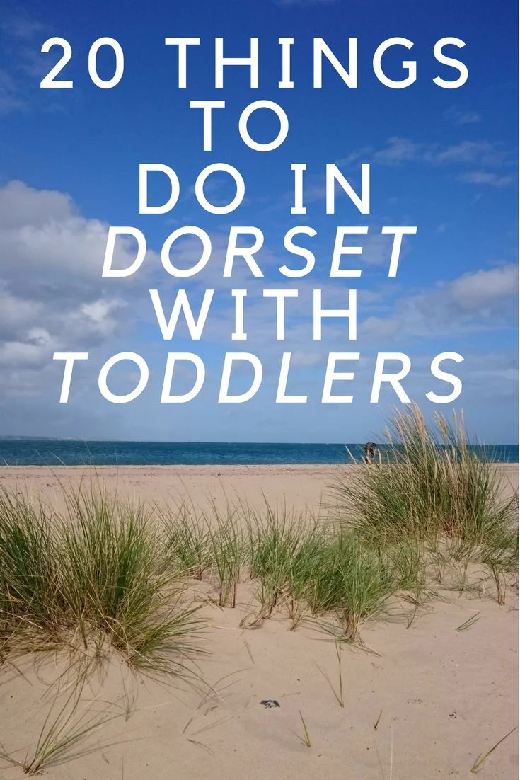 things do to in dorset with toddlers
