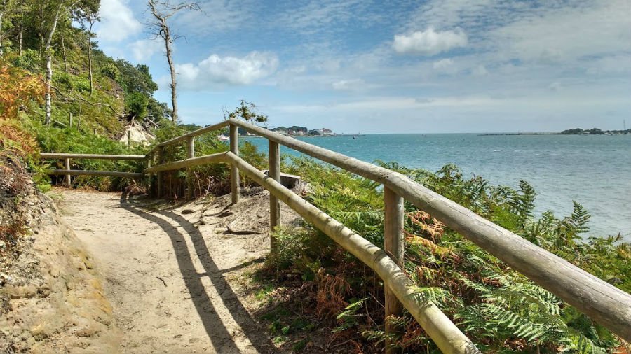 Brownsea Island