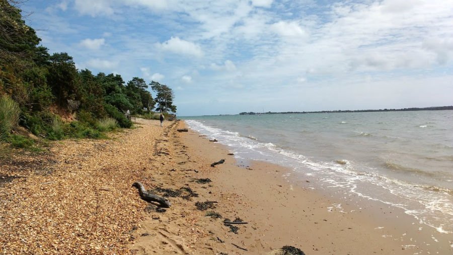 Brownsea Island