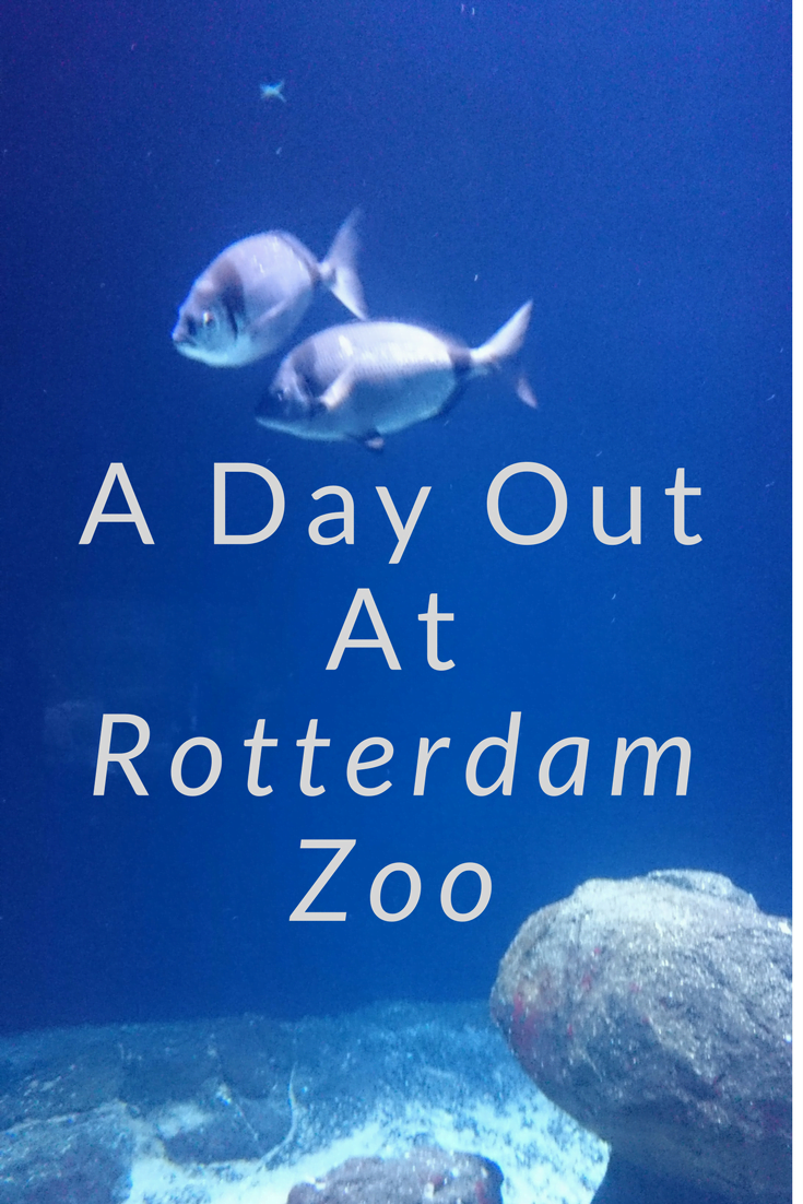 Rotterdam Zoo