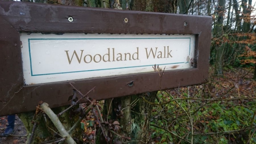 Woodland Walk at Sandybrook Country Park