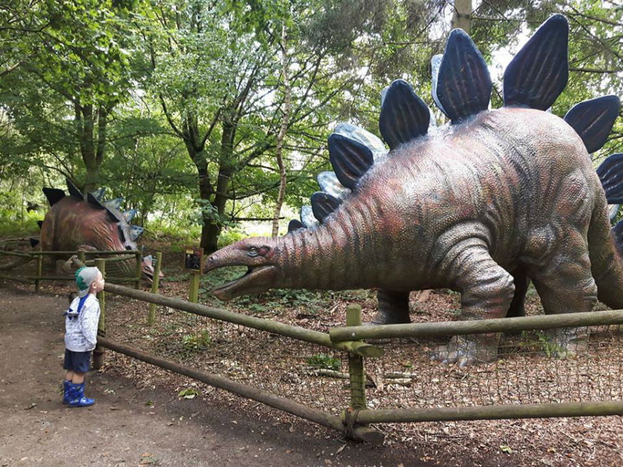 Dinosaur Days Out for Toddlers