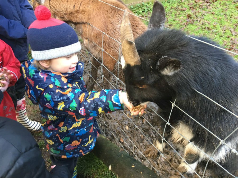 baby and toddler friendly cottages in cornwall