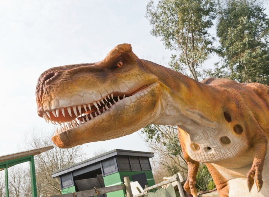 Dinosaur Days Out for toddlers