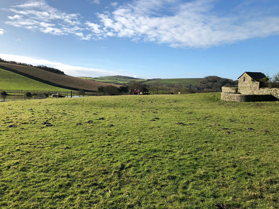 Views from Nettlecombe Farm