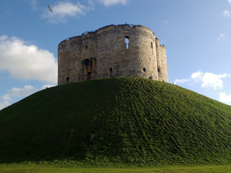 york with toddlers