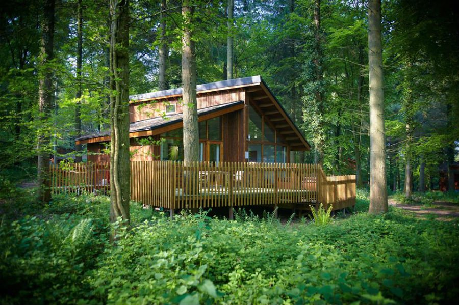 13 Reasons Why A Forest Holiday Is A Perfect UK Holiday For A Toddler