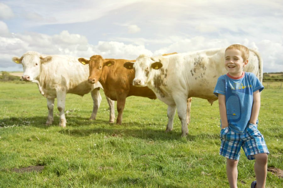 toddler friendly farm holiday