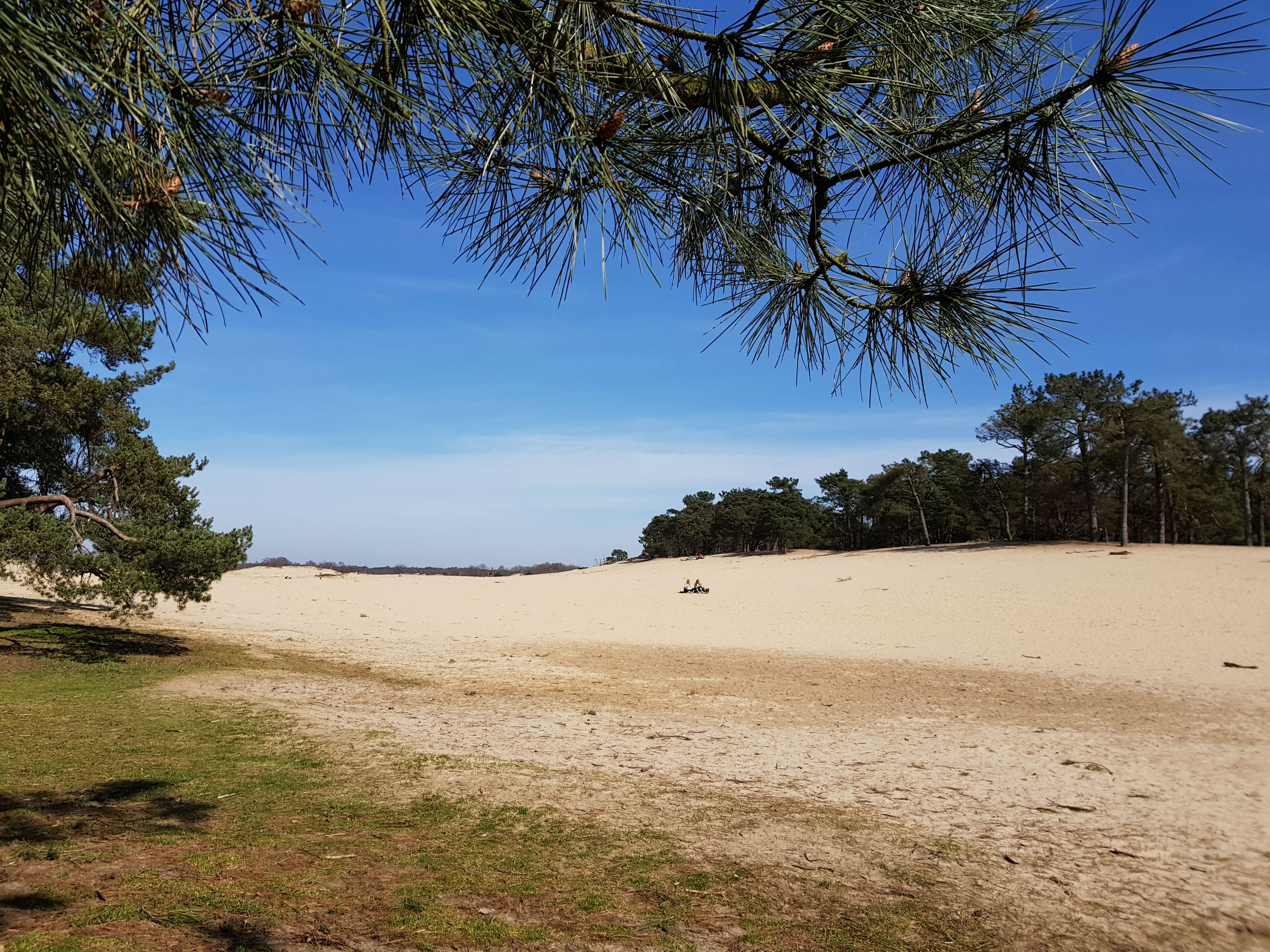 Duinen National Park