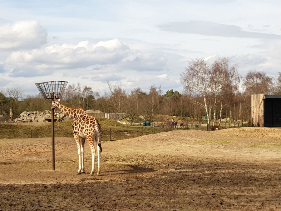 Beekse Bergen Safari Park