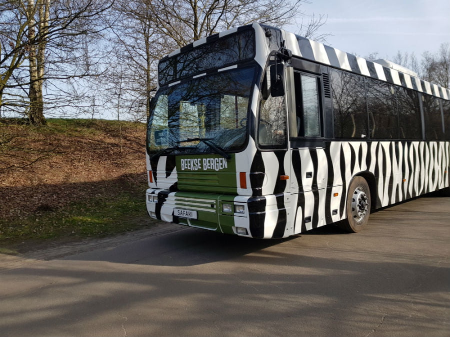 Safari Bus at Beekse Bergen