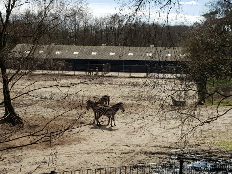 Beekse Bergen Safari Park