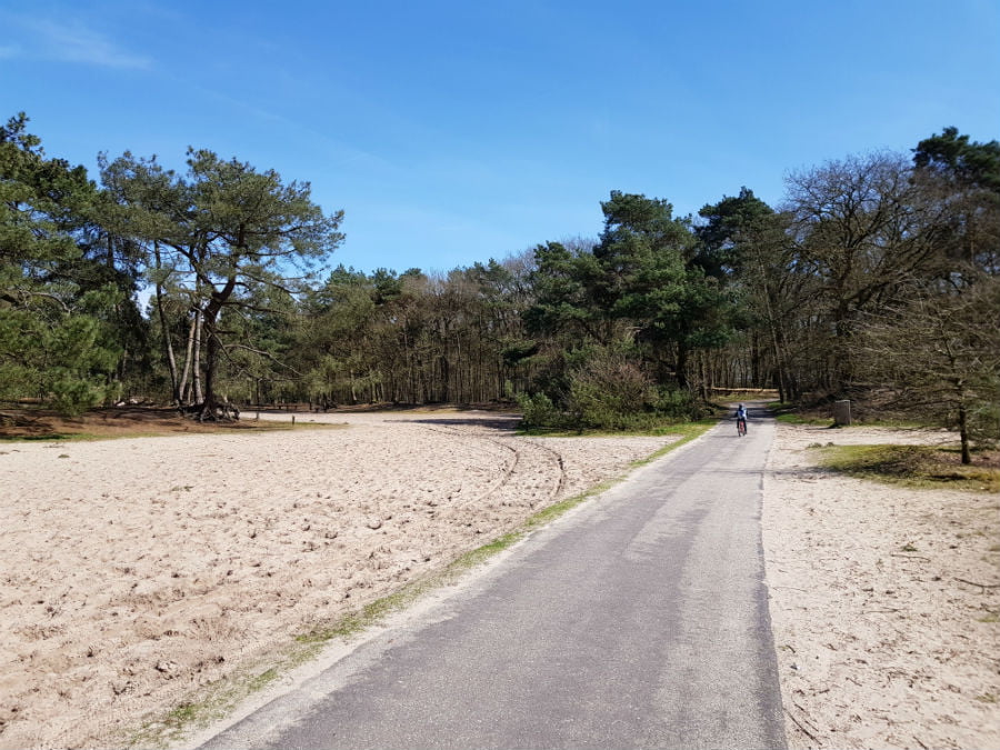 Cycling in the Drunen National Park in the Netherlands