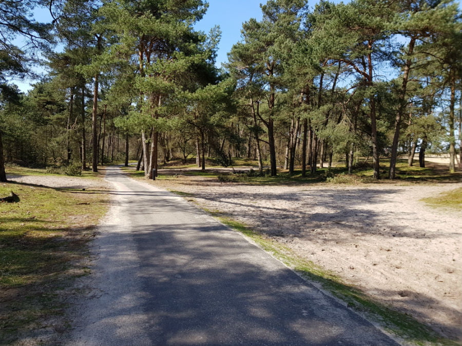 Cycling in the Drunen National Park in the Netherlands