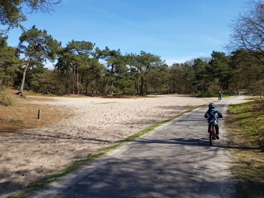 Cycling in the Drunen National Park in the Netherlands