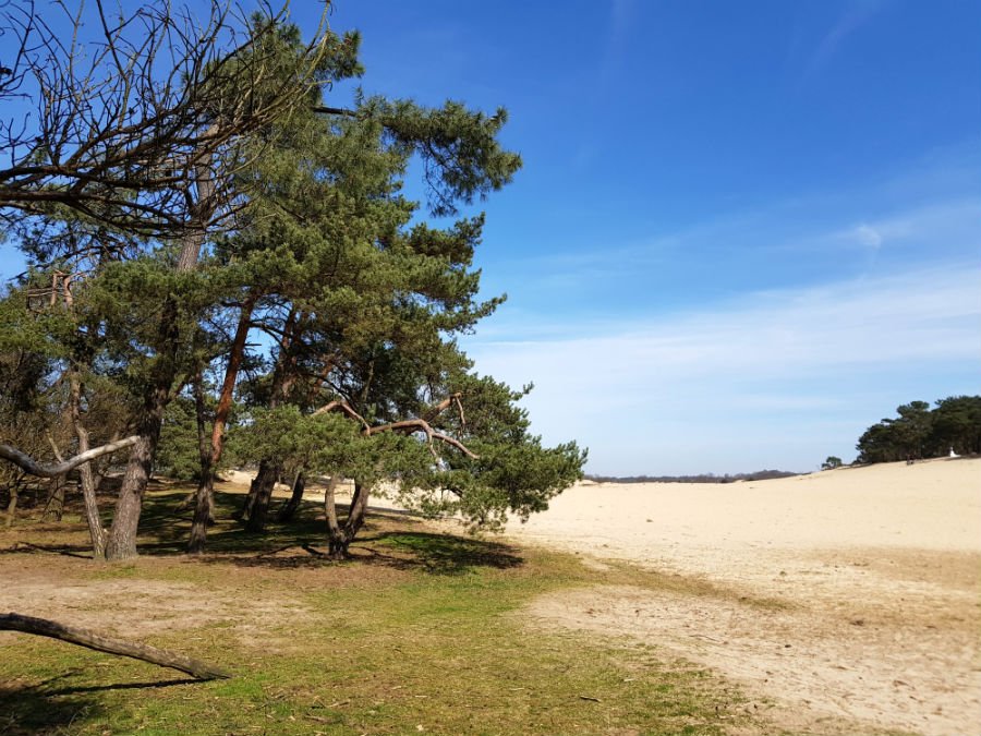 Drunen National Park in the Netherlands