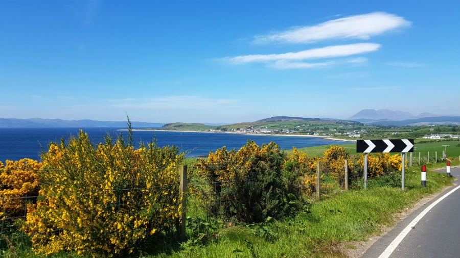 Arran with toddlers