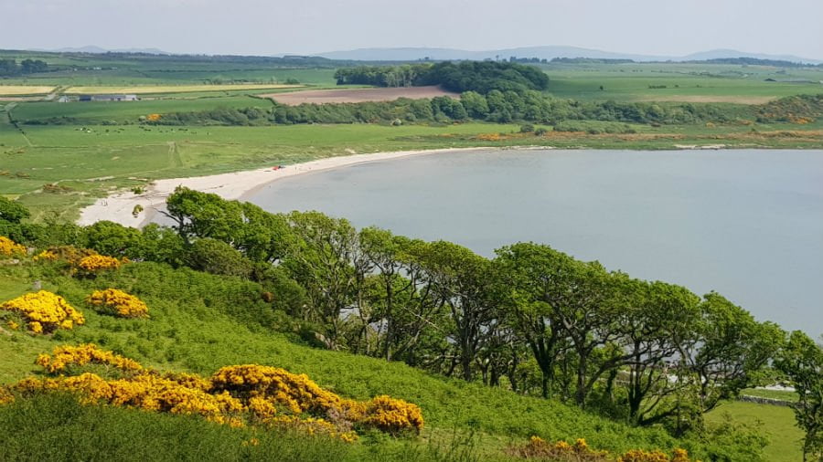 Bute with toddlers