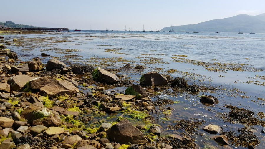 Scottish islands with toddlers