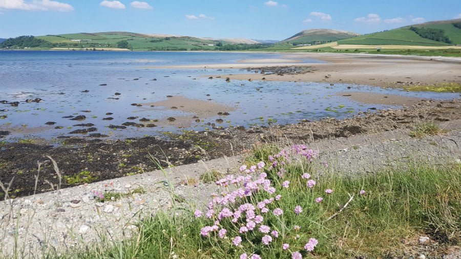 Scottish islands with toddlers