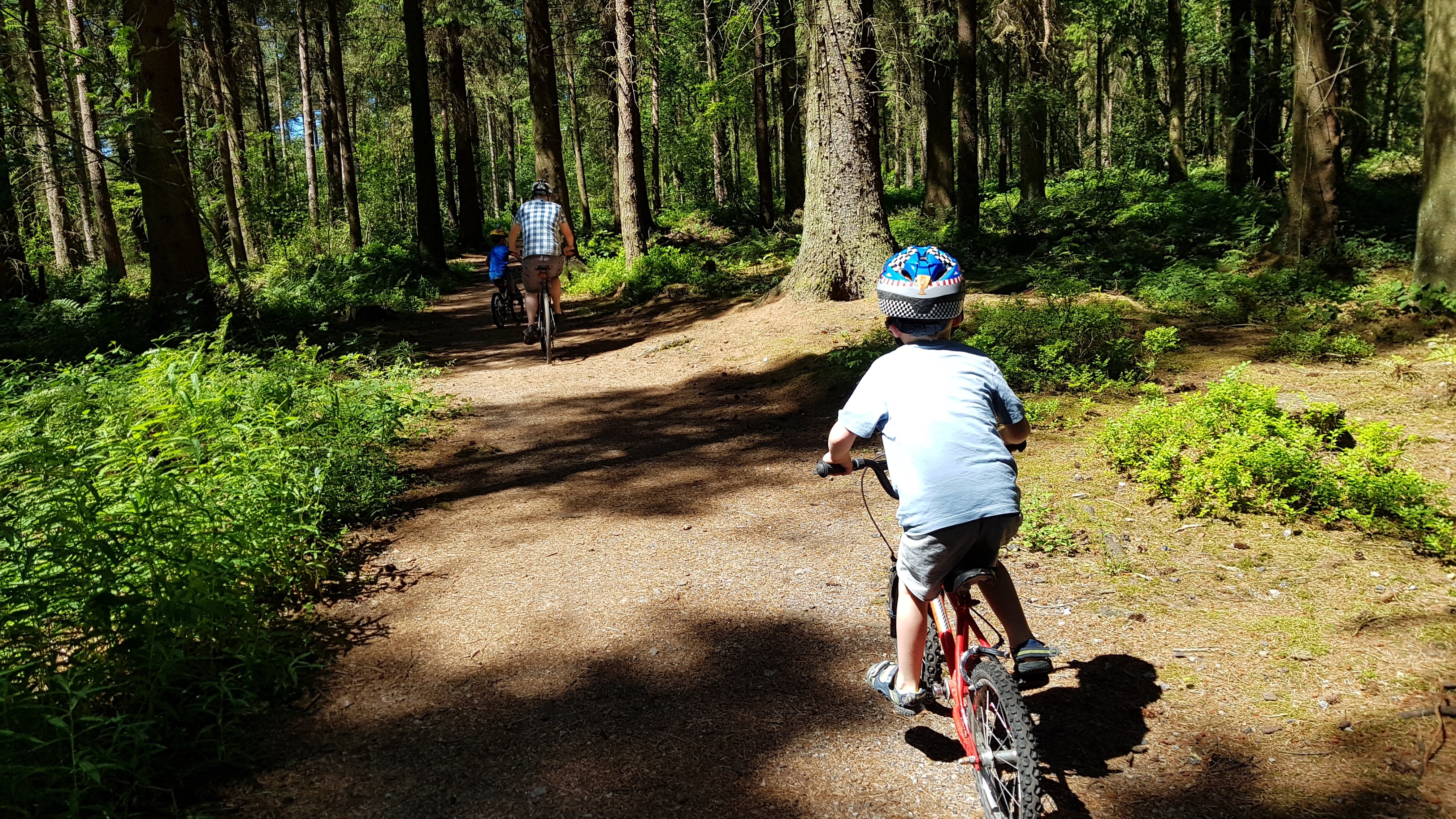 Cycling at Darwin Forest